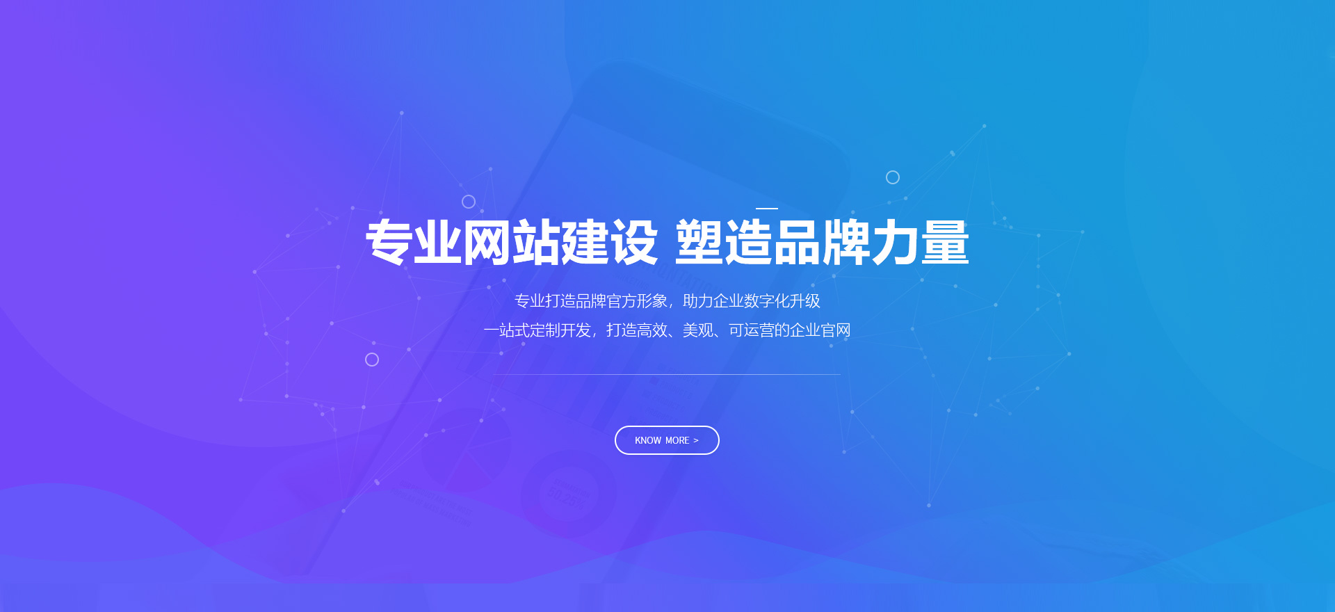 漯河建站-专业网站建设 塑造品牌力量