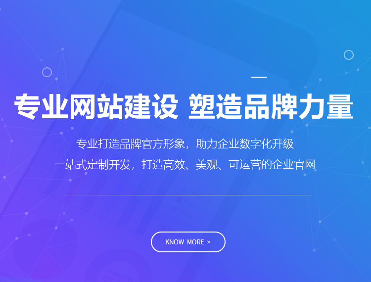 漯河建站-专业网站建设 塑造品牌力量